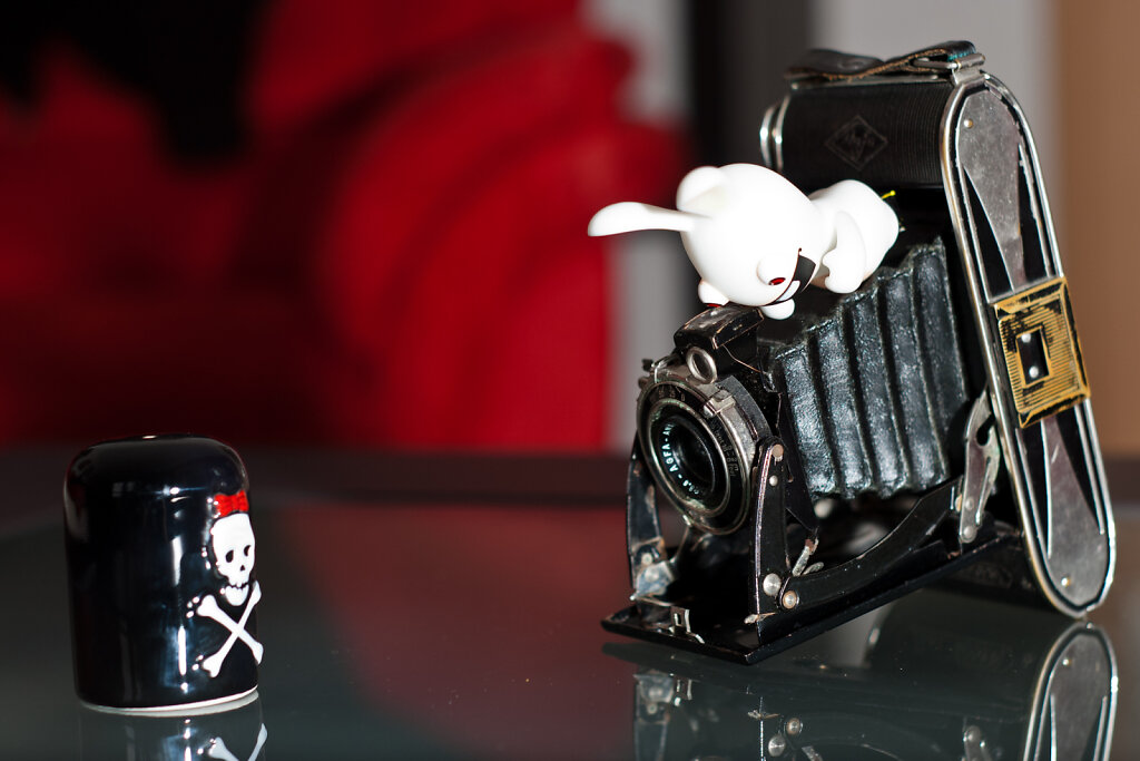 Rayman Rabbid Fotograf