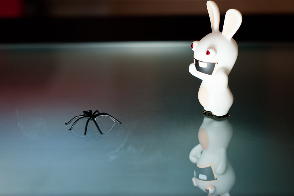 Rayman Rabbid Spinne