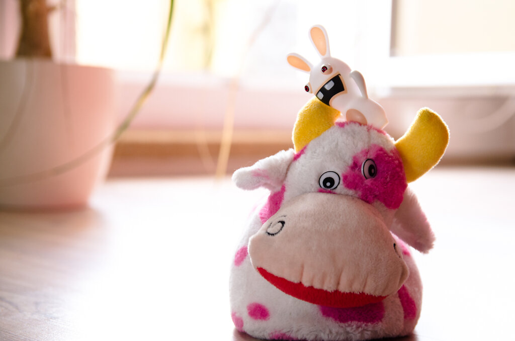 Rayman Rabbid Kuh