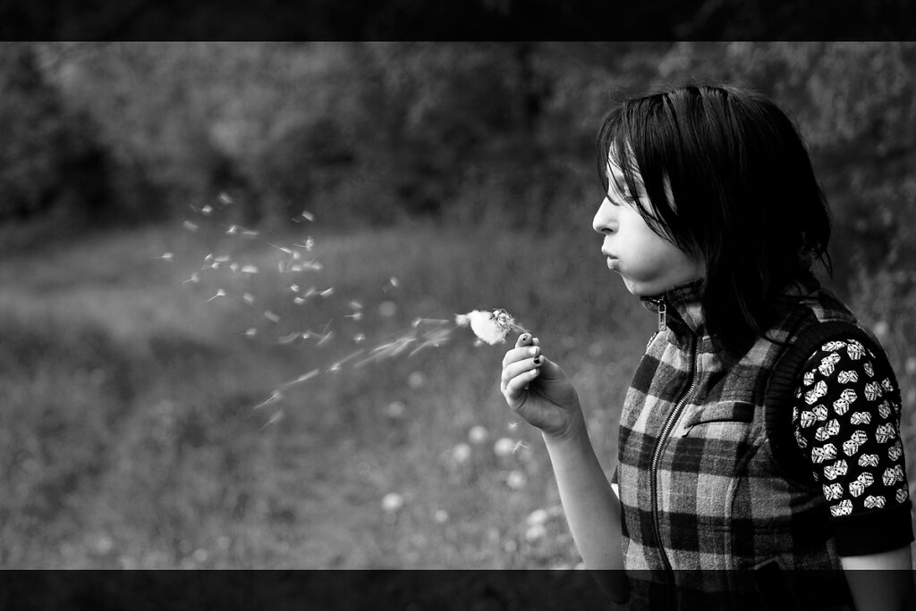Pusteblume