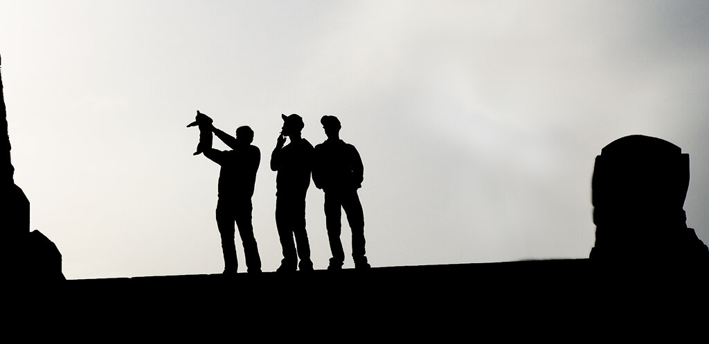 Silhouette Trio