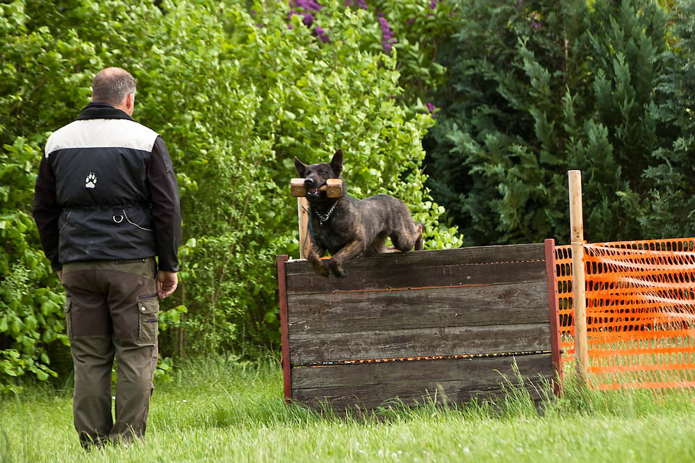 Malinoi Apportieren
