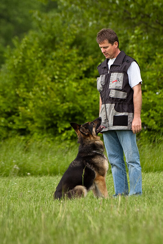 Hundesport Warten