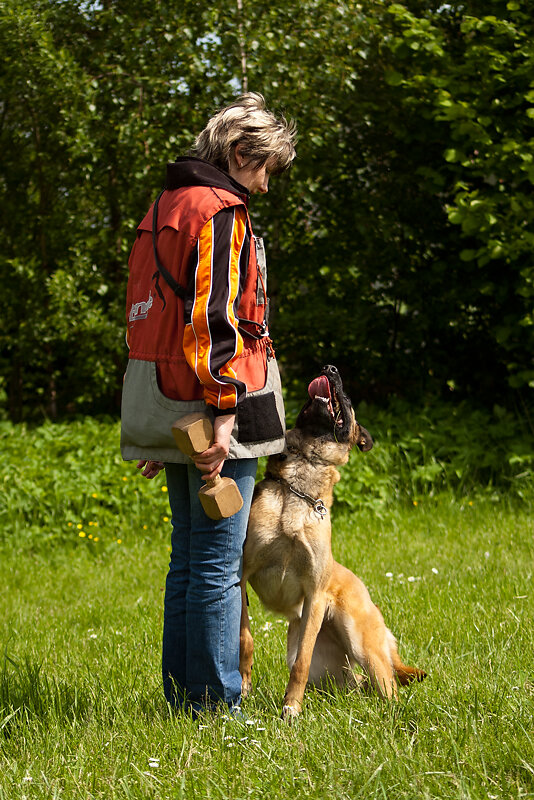 Hundesport sitz