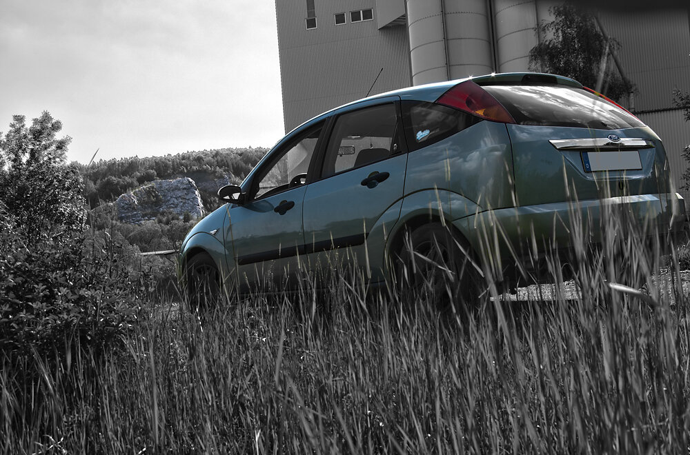 Ford Focus Gras