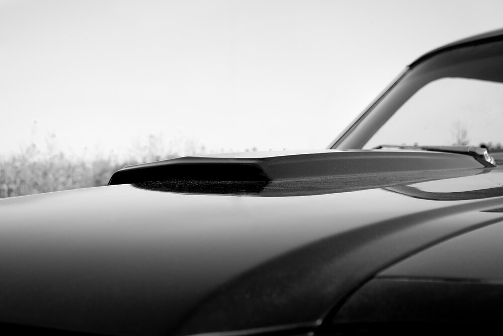 Motorhaube Ford Mustang