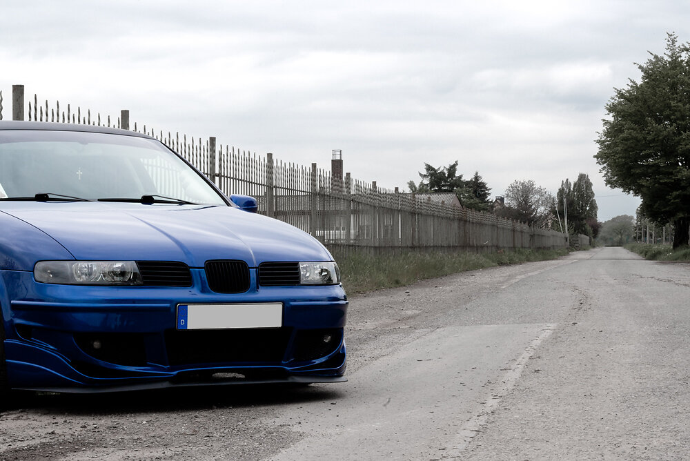 Seat Leon Streetstyle