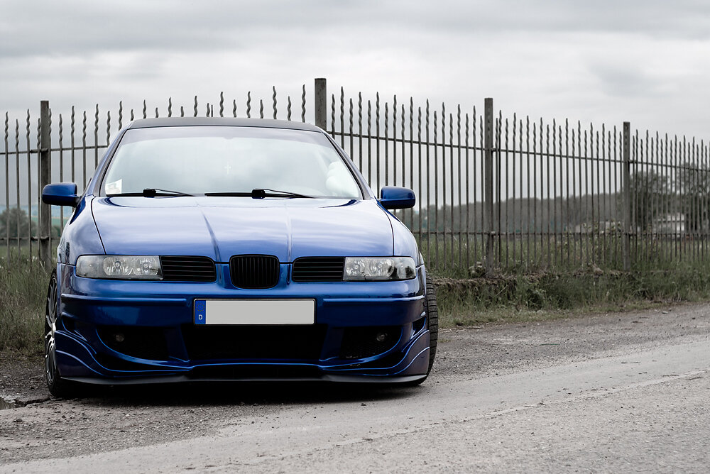 Seat Leon Zaun