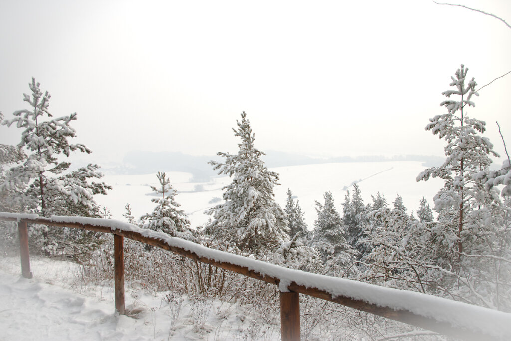 Bäume und Schnee