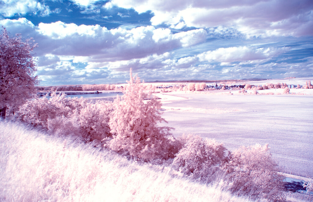 Feld Infrarot