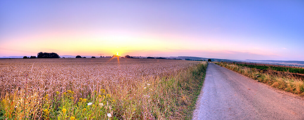 Getreidefeld Sonnenaufgang Panorama