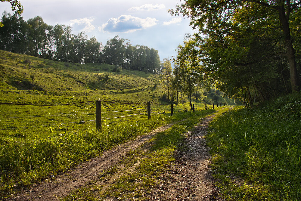 Waldweg