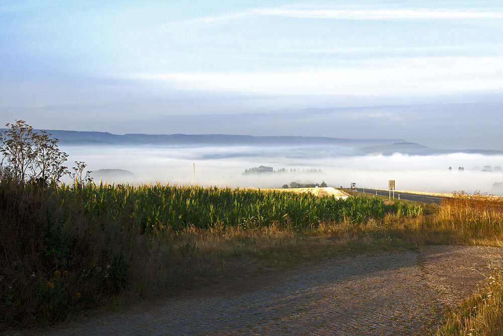 Nebel Wipperdorf