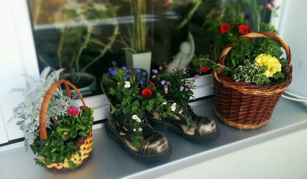 Übersicht Blumen und Springerstiefel