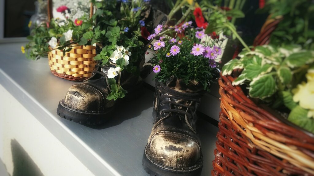 Springer mit Blumen von vorn
