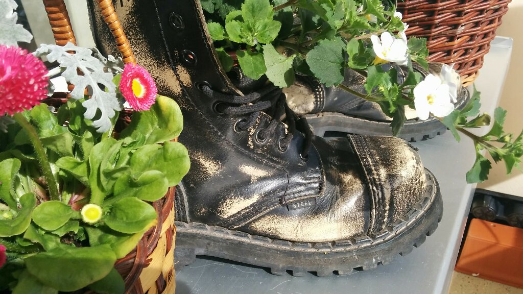 Springerstiefel mit Blumen bepflanzt