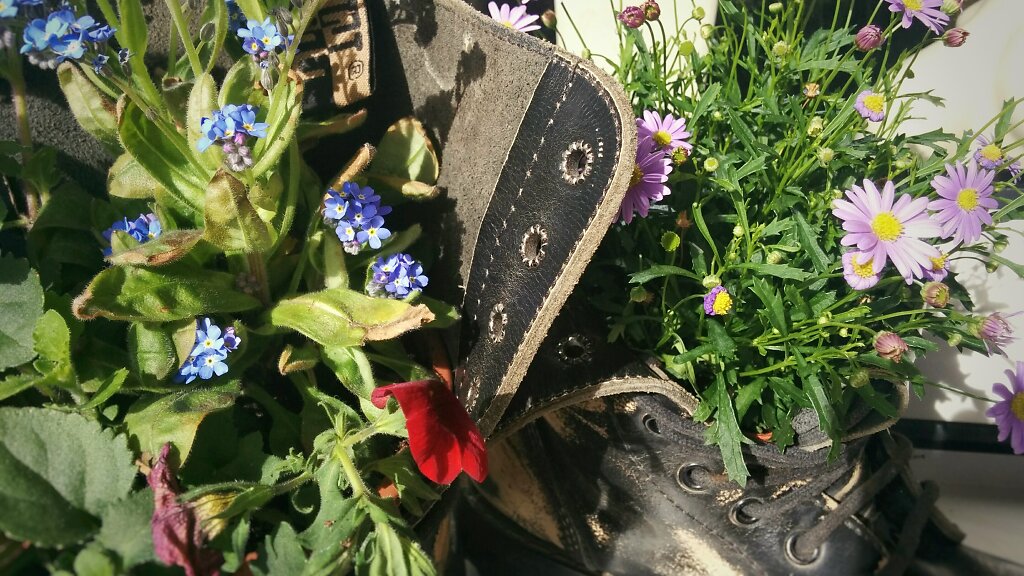 Springerstiefel Blumen bepflanzt
